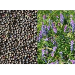 Віка (комплектована) 500г