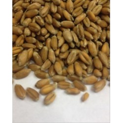 Пшениця 1кг