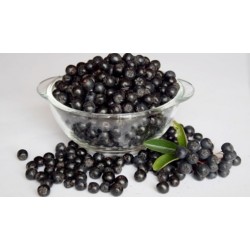 Горобина чорноплідна (Аронія) 1кг