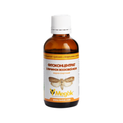 Настоянка воскової молі