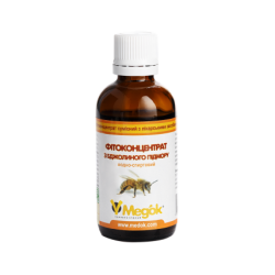 Настоянка бджолиного підмору