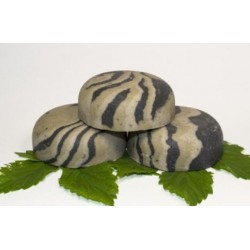 Натуральний шампунь з 3-ма глинами (чорна, блакитна, зелена)